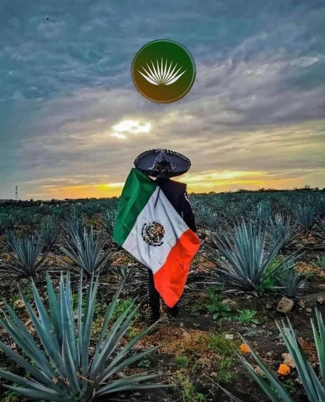 Terraza Monteagave Hotell Tequila Eksteriør bilde